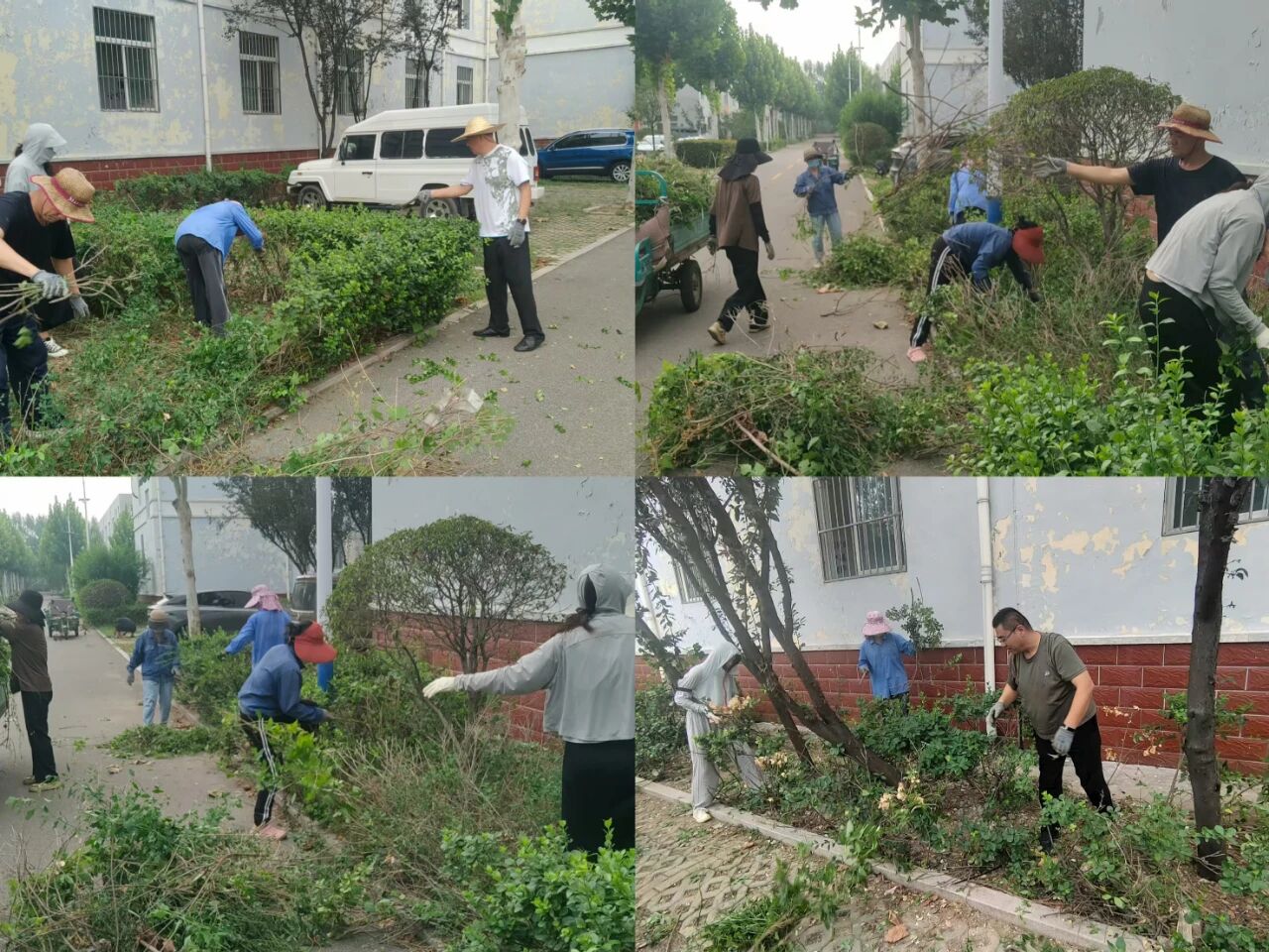 【鲁南电商】共建斑斓园区，咱们在步履！